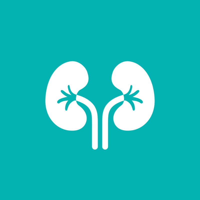Nephrology Collection – Medico Store مدكو ستور