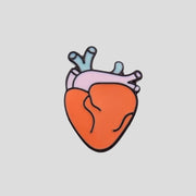 Anatomical Heart Pin